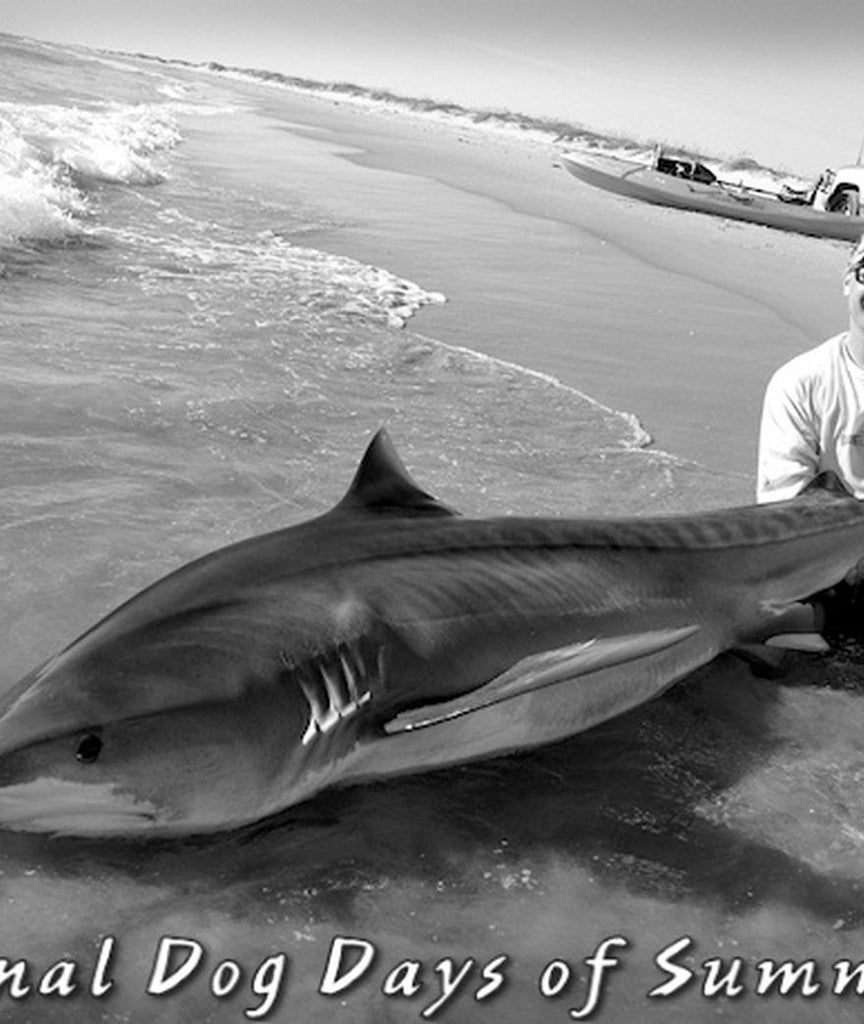 BIG SHARKS Secrets. 🦈 Breakaway Tackle USA. 