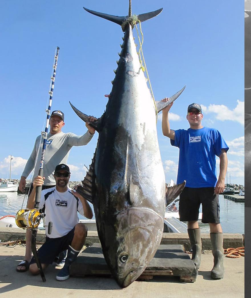 Giant Bluefin Tuna are simply one of the biggest and baddest gamefish in our oceans today... Period.  There's no place like the Northeast when it comes to ...