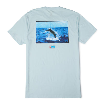 Framer
