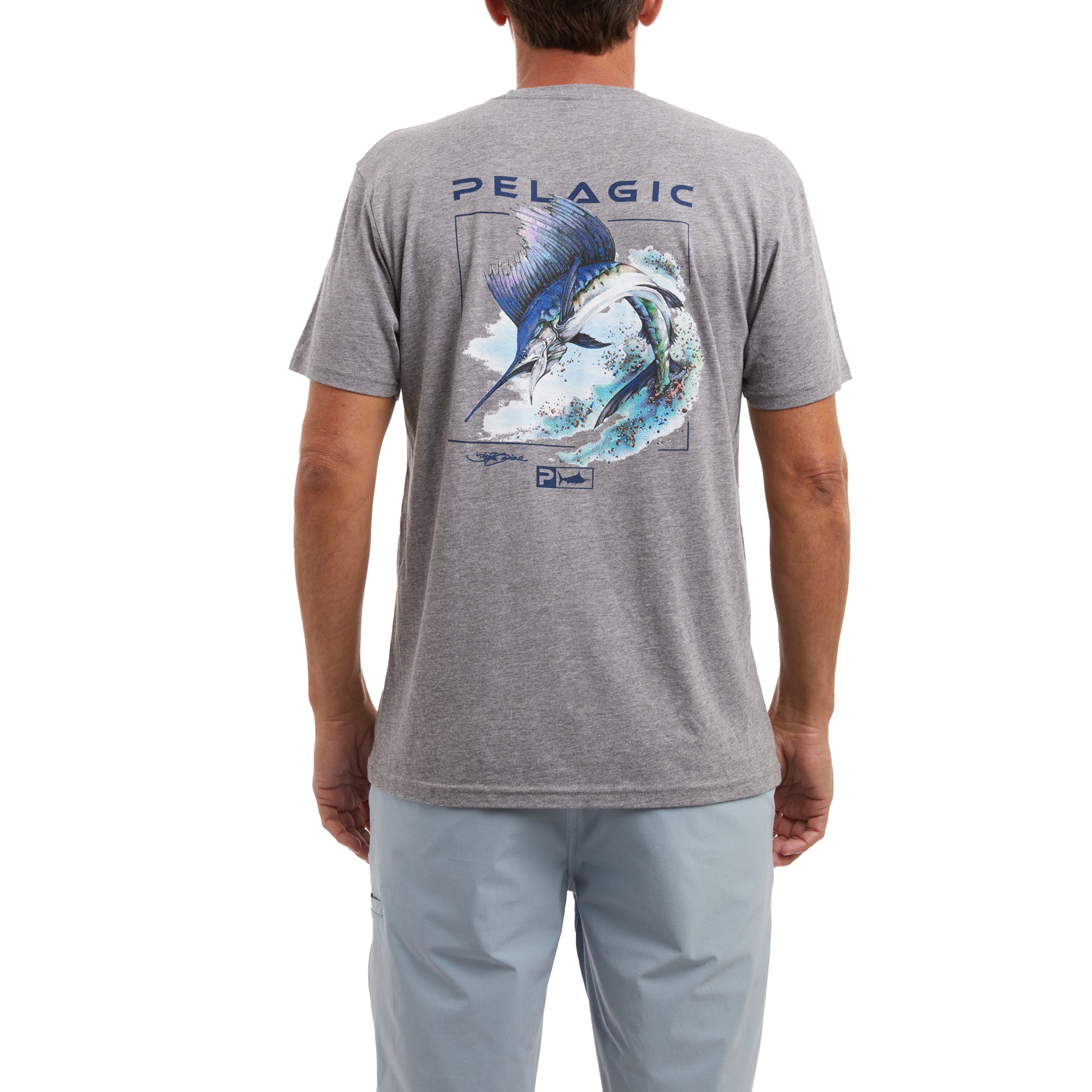 Goione Sailfish