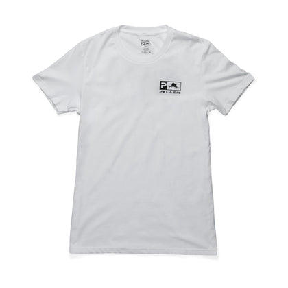 Ws Icon