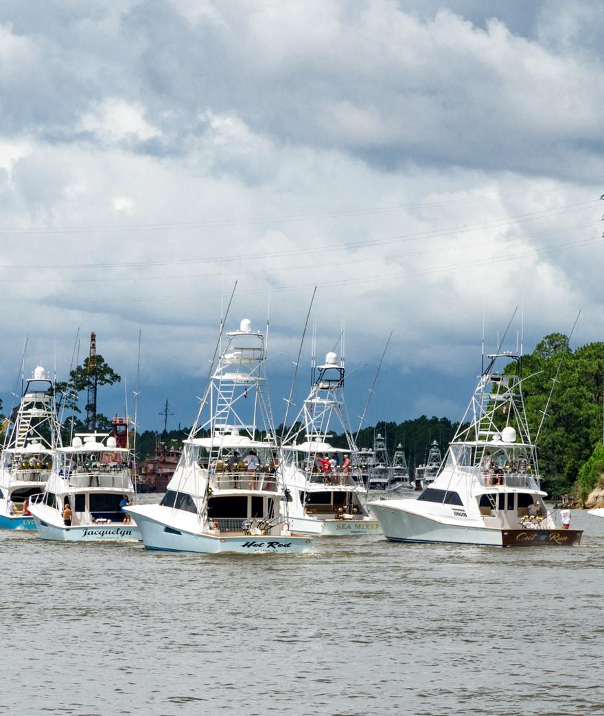 And They're off! The 2017 Blue Marlin Grand Championship 11:00am Boat Fleet Departure
The 6th Annual 2017 Blue Marlin Grand Championships went off again in ...