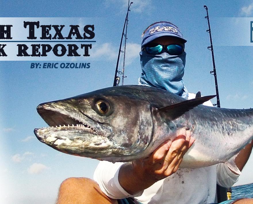 

**![](/media/post_content/pelagic_wmj-changer_south-texas-kayak-report.jpg)**

**** 

**South Texas Kayak Report**  
_by Eric “Oz” Ozolins_

Been hard at ...