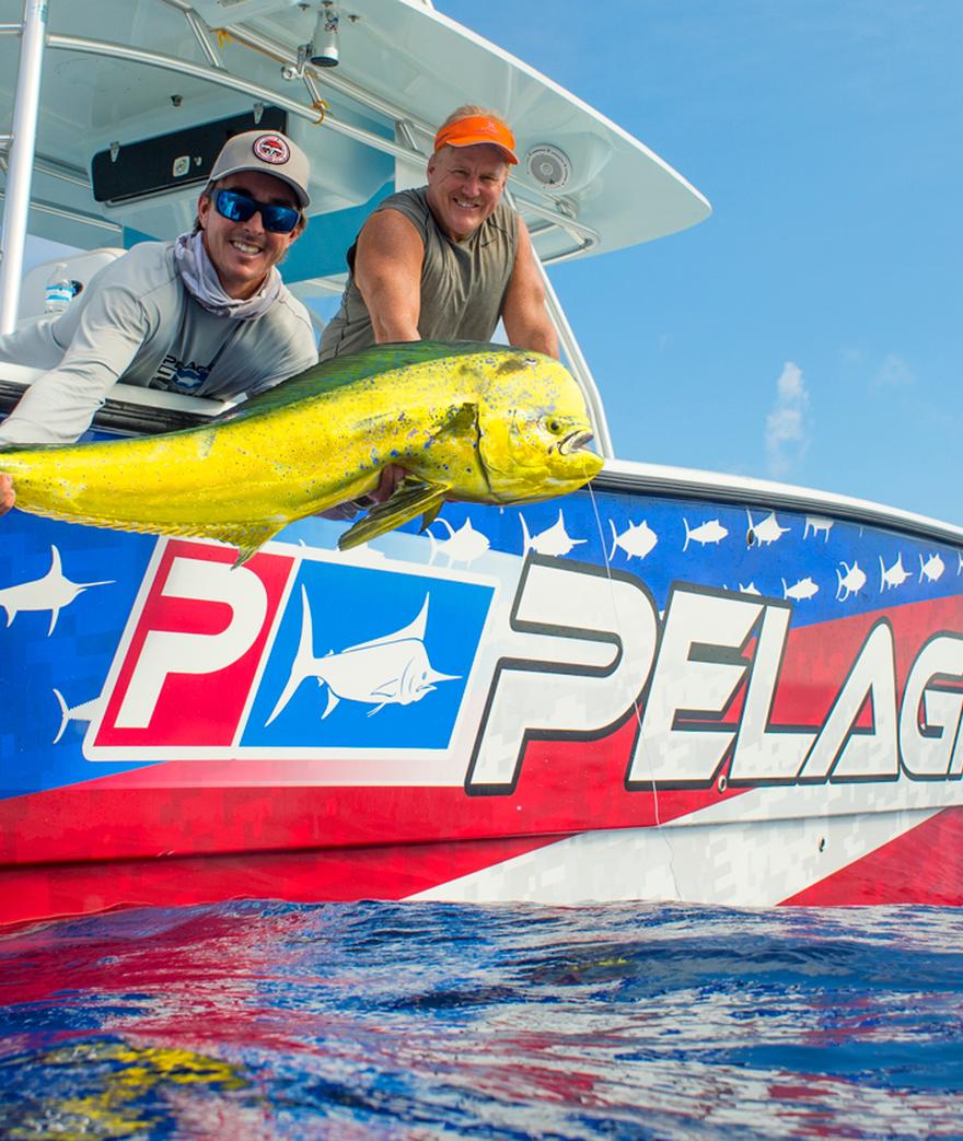 2016 Islamorada Summer/Early Fall Recap 
Our summertime fishing was a little different this season than years past…
The mahi mahi migration is what ...