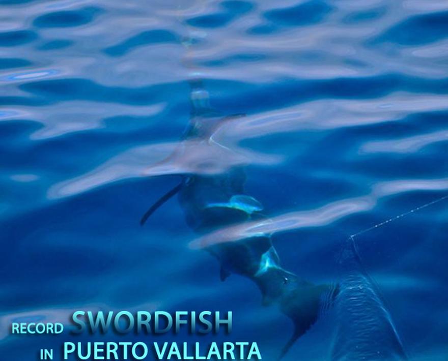 

![](/media/post_content/josh-temple_pelagic-gear_swordfish-in-pv_cover.jpg)



**Record Puerto Vallarta Swordfish: Amen!**

_**by Capt. Josh ...