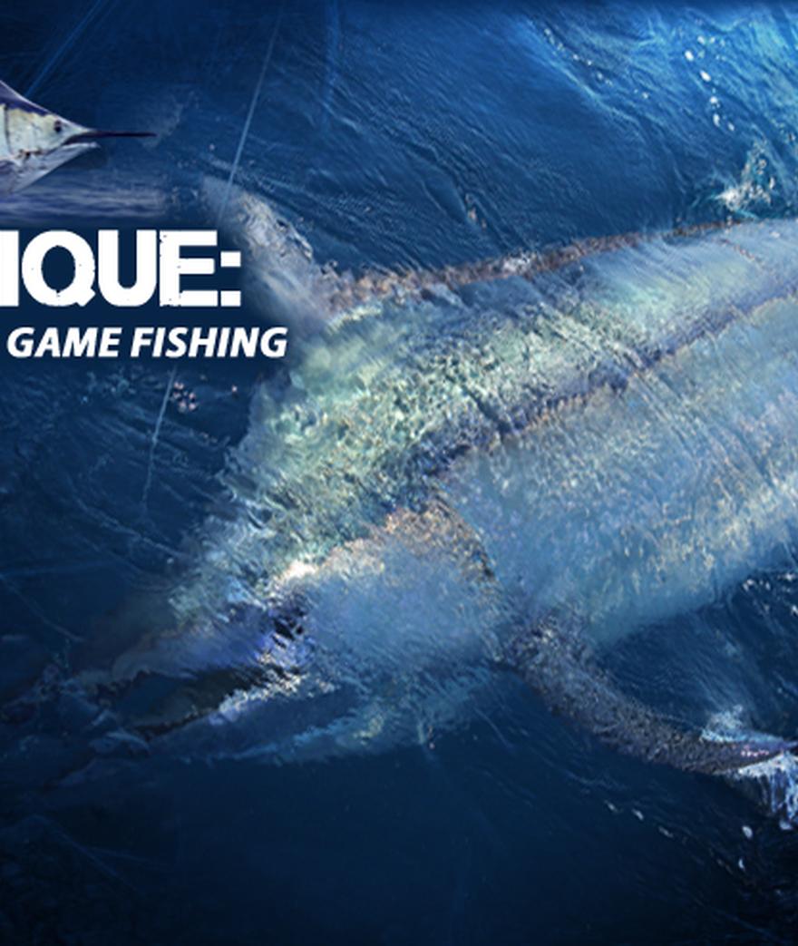 

**![](/media/post_content/pelagic_wmj-changer_mozambique.jpg)**

**** 

**Mozambique: A New Frontier in Big Game Fishing**  
_by Colin Sarfeh_

When ...