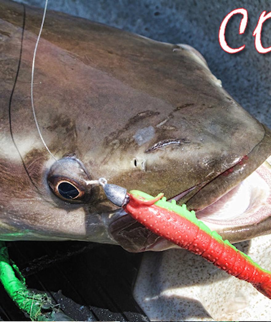 best lures for cobia fishing Eel Jig flared nylon body garnished with a soft plastic eel Fire Red Cobia Jig