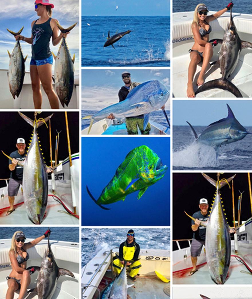 Blink your eyes and it's March already! February was another great month in the PELAGIC social media realm with some big tuna, mahi and marlin continuing to ...