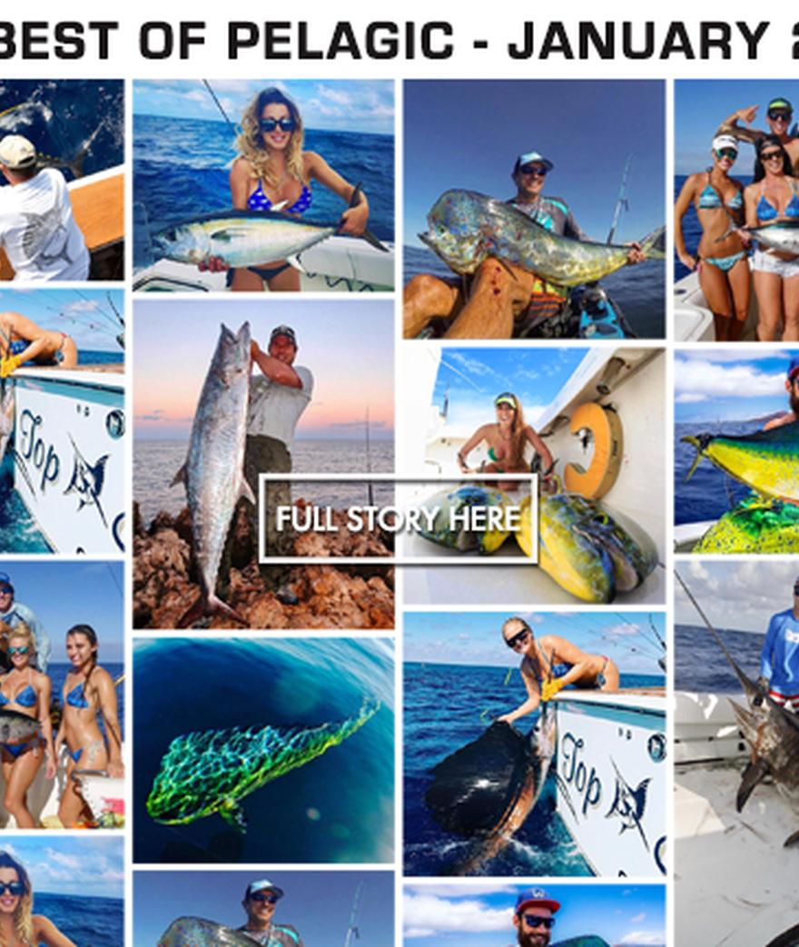 This year started out with a bang as the Innagural PELAGIC Rockstar! Offshore Tournament kicked off out of Marina Pez Vela in Costa Rica from January 12-14. ...