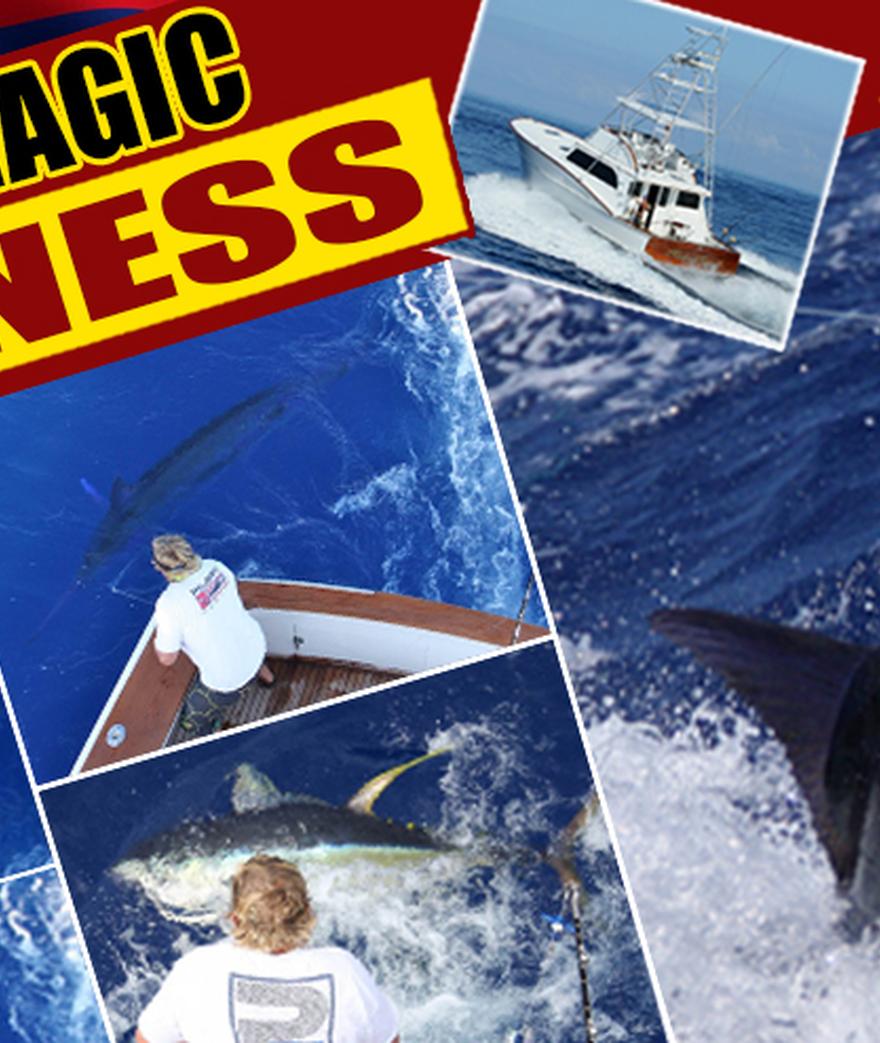 

**![](/media/post_content/pelagic_wmj-marlinmagicmadness.jpg)**

**  
**

**Marlin Magic Madness**  
_Interview with blue marlin legend, Captain ...