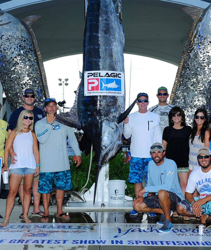 PELAGIC Pro Team Captain Joey Birbeck and the YOU NEVER KNOW! crew shine on Main St. during the final weigh-in of the 2016 Blue Marlin Grand Championship ...