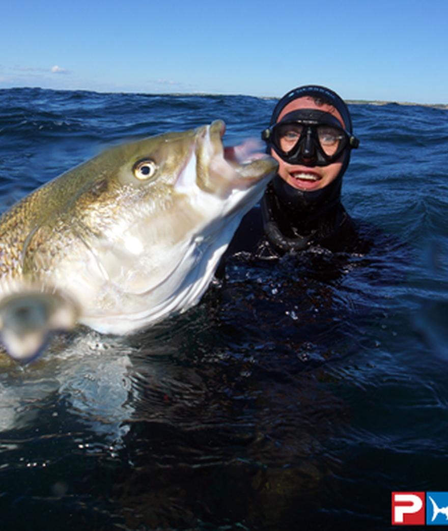 

![](/media/post_content/roy-mcdennon-jr_pelagic-gear_striped-bass6.jpg)



























Team Pelagic's resident free diver extraordinaire, Roy ...