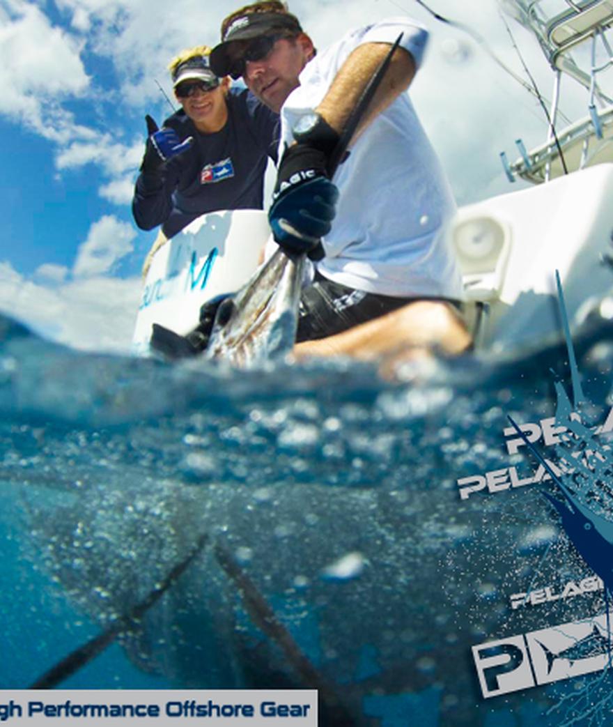 



![](/media/post_content/mikesailfish_tombstone_forweb.jpg)





* * *



**02.09 - MIAMI SAILFISH, COURTESY OF DAVE TRAFTON**

**Location:  Miami, ...