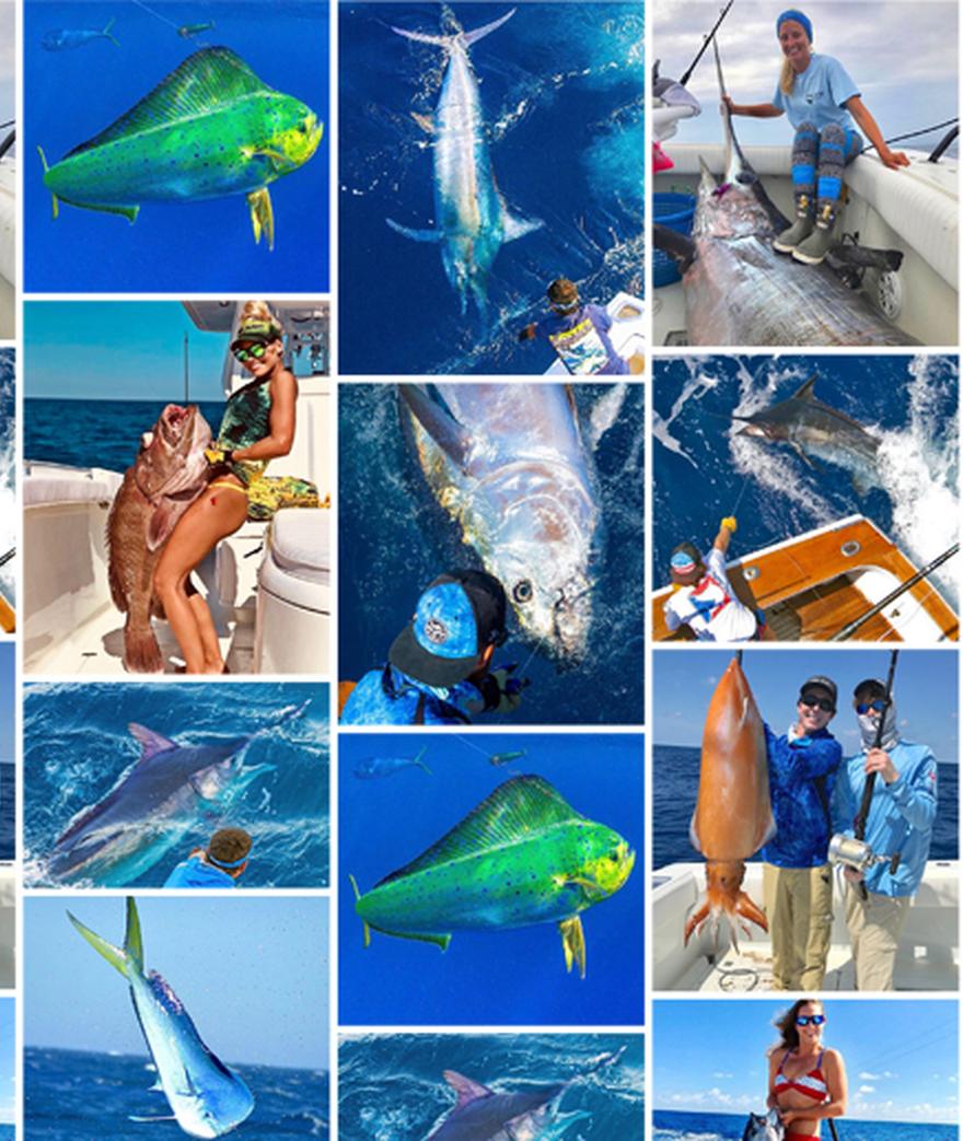 Every month, it's difficult to narrow down our favorites when it comes to social media. March was no exception with some epic images of big marlin, tuna and ...