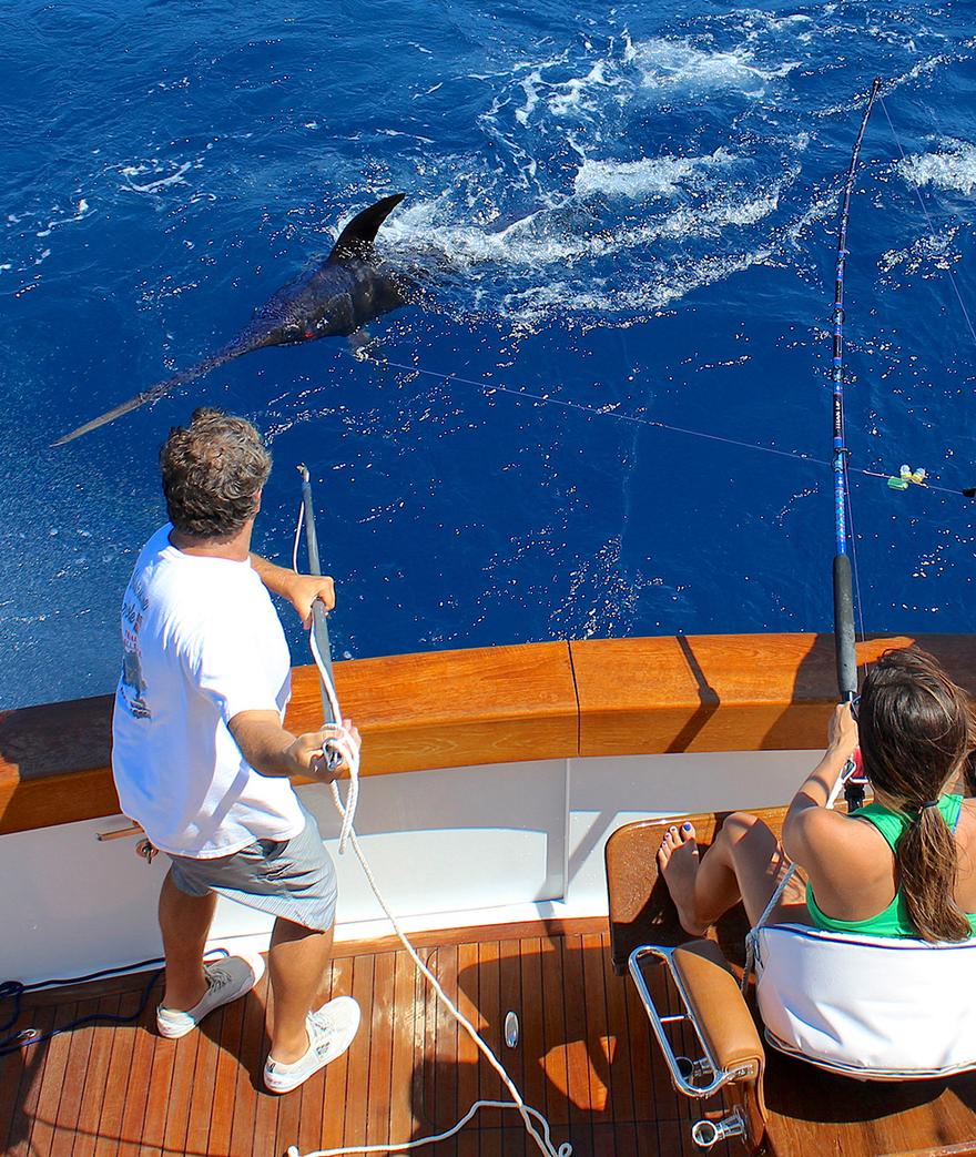 By PELAGIC Pro Team Capt. Anthony Lopez
Summer 2017 is officially winding down with Fall approaching here on the Texas Gulf Coast. Our season so far has ...