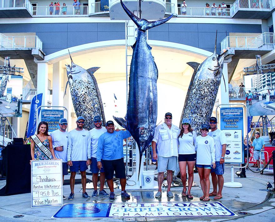 Team Shockwave's Tournment Winner, a girthy 795.6-lb Blue.
As anticipated, the 2018 Blue Marlin Grand Championship of the Gulf, lived up to it’s mantra - ...
