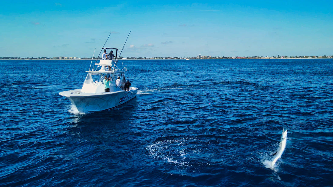 Pro Team Captain Chip Sheehan - ONE OF FLORIDA'S TOP SAILFISHING CAPTAINS