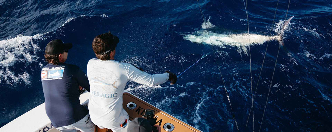 The Land of Dreams and Giants PELAGIC