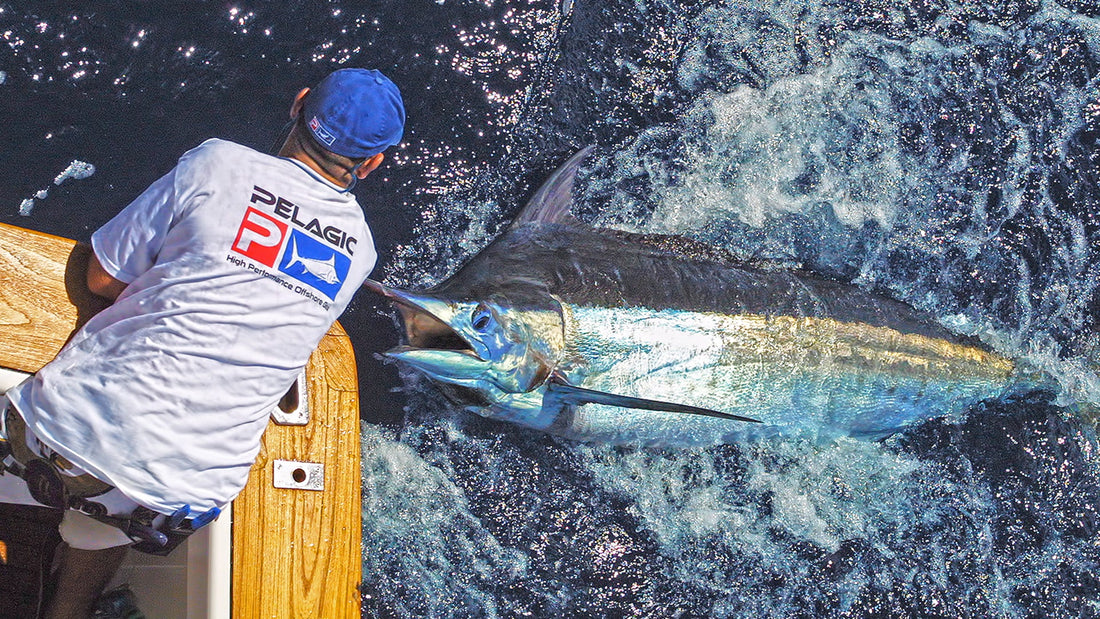 PELAGIC WORLDWIDE: A Global Sport Fishing Expedition PELAGIC