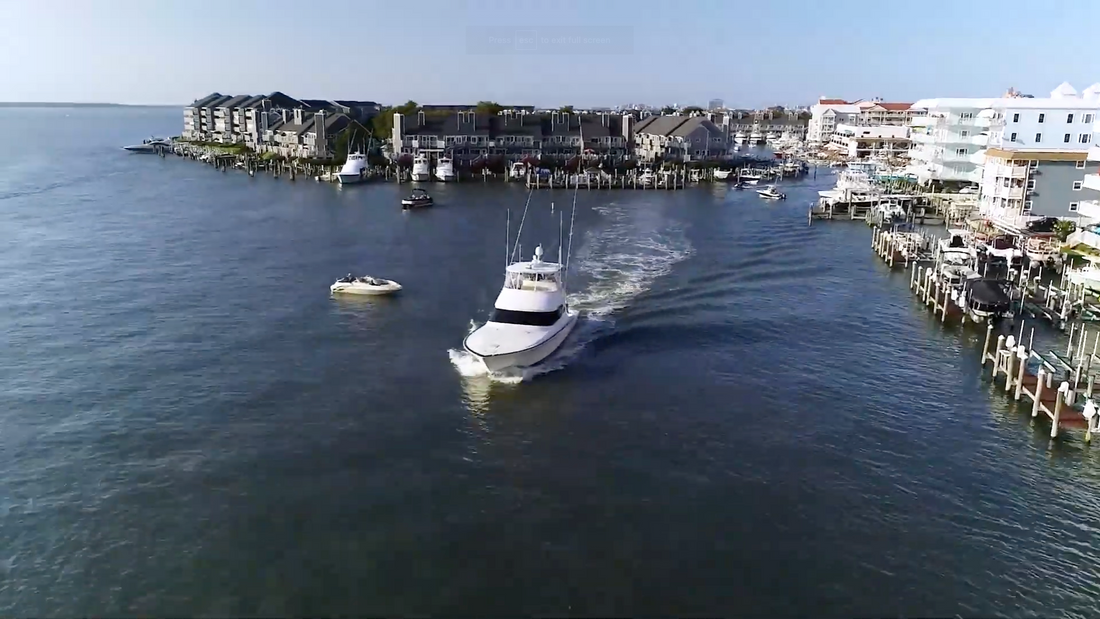 WHITE MARLIN OPEN: The World's Largest Billfish Tournament