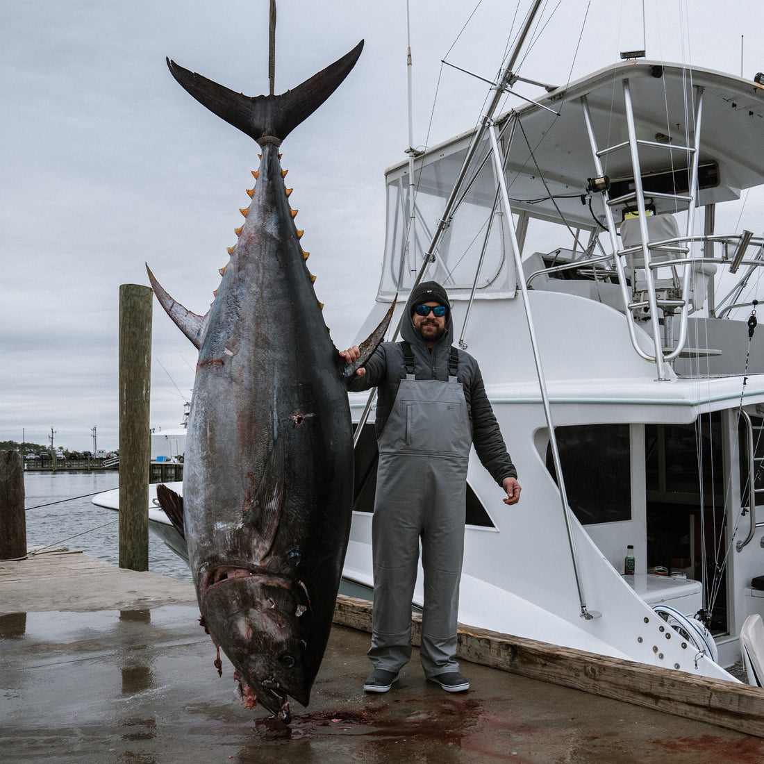 4 Days, Rough Seas and Giant Tuna