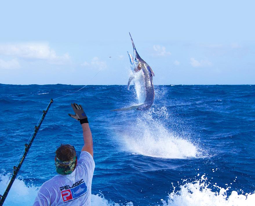 Story and photography by Kelly Fallon
The day started out a little different to the typical day on the reef. The tides had seen ‘dirty water’ (in reality ...