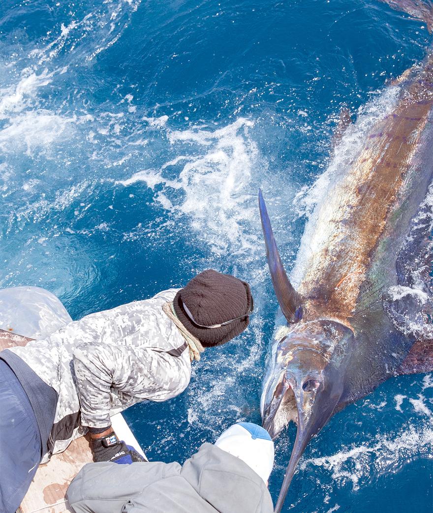 Pelagic Pro Team Captain and photographer, Stuart Simpson,  has a keen eye for amazing photography. Stuart's hometown is Watamu Bay, Kenya [Africa] which is ...