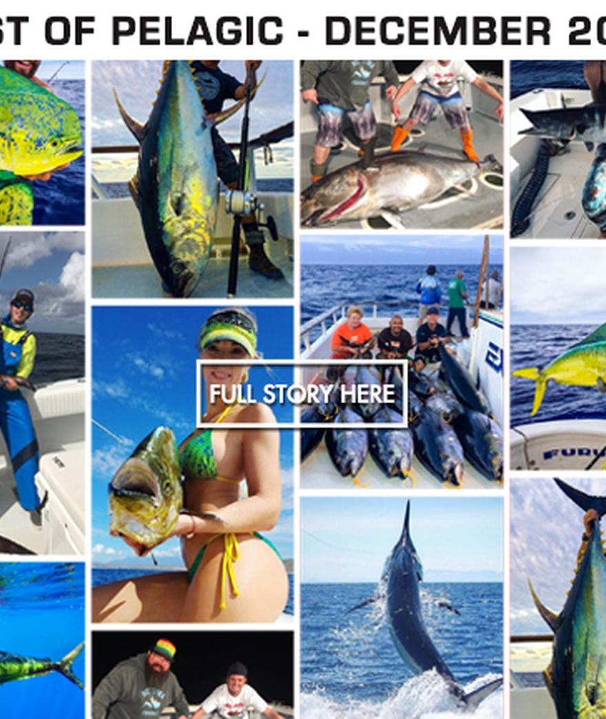 And just like that...it's 2017!  Happy New Year from all of us here at Pelagic!
Big tuna and Mahi mahi dominated the top shots for our social media pages in ...