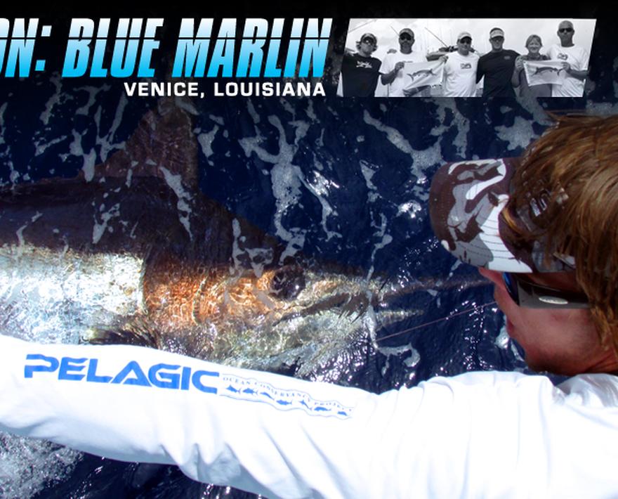

**![](/media/post_content/pelagic_wmj-changer_mission-blue-marlin.jpg)**

**  
**

**MISSION: Blue Marlin – Venice, LA**  
_by Colin Sarfeh_  
  
The twin ...