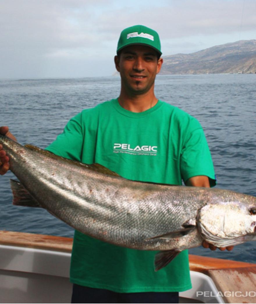 



![](/media/post_content/white-seabass_marlon_a.jpg)

Above:  PELAGIC Pro Team **Captain Marlon Holden** takes time off from chasing marlin and tuna, ...