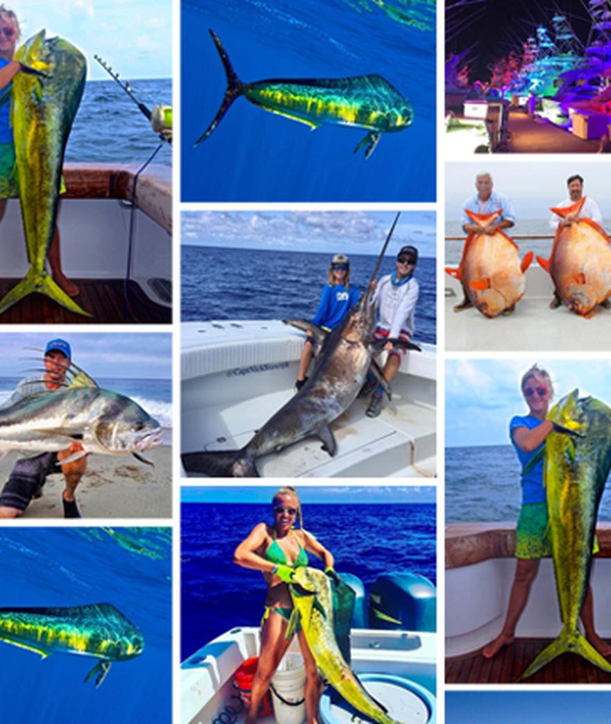 What a summer it's been so far!  Lot's of solid fish gracing the pages of our social media world. XXL Mahi seemed to be a consistent theme for August, as ...