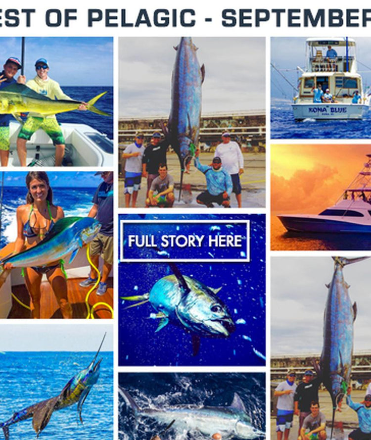 The Best of Pelagic - September 2016 | PELAGIC Fishing Gear