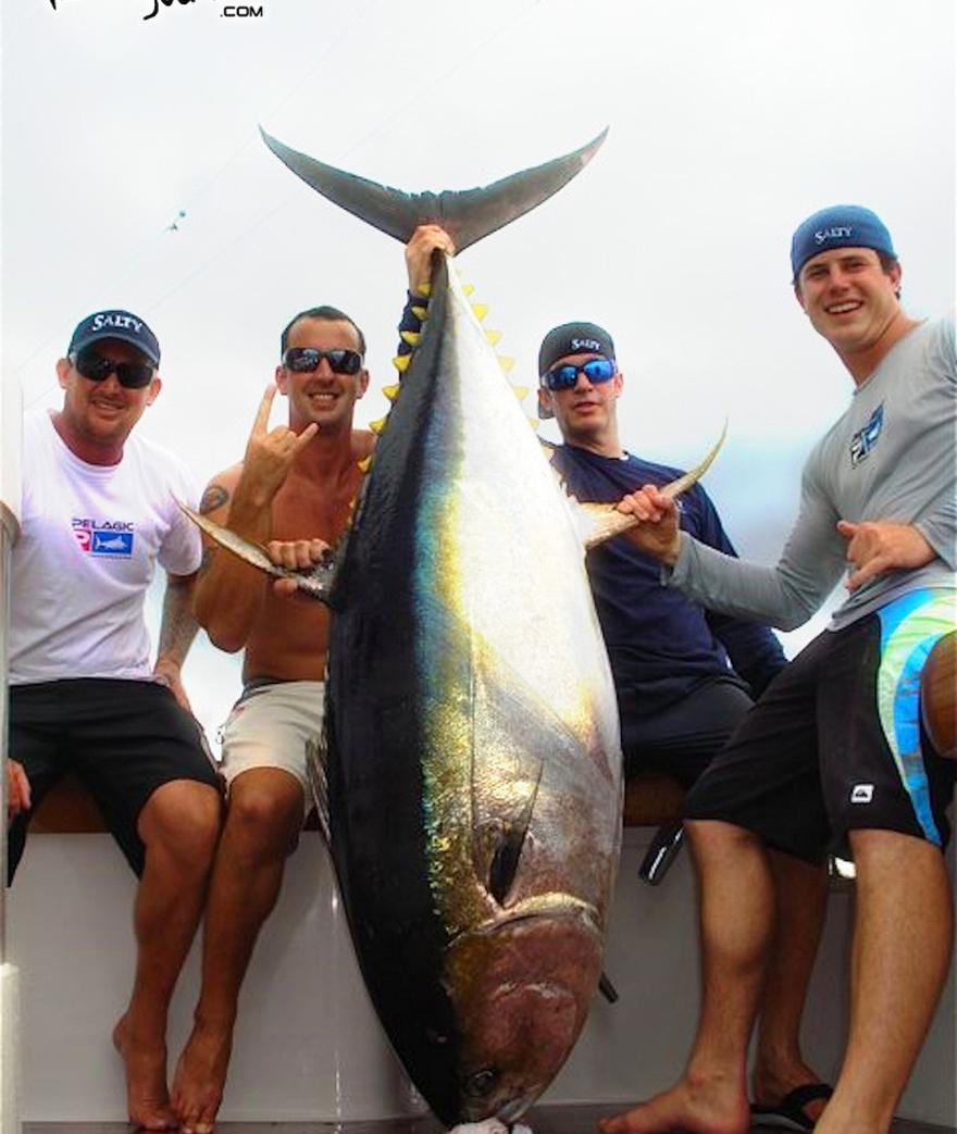 



There is likely no other fish that has frustrated anglers on more levels than yellowfin tuna...born with overly refined pallates and graduate degrees in ...