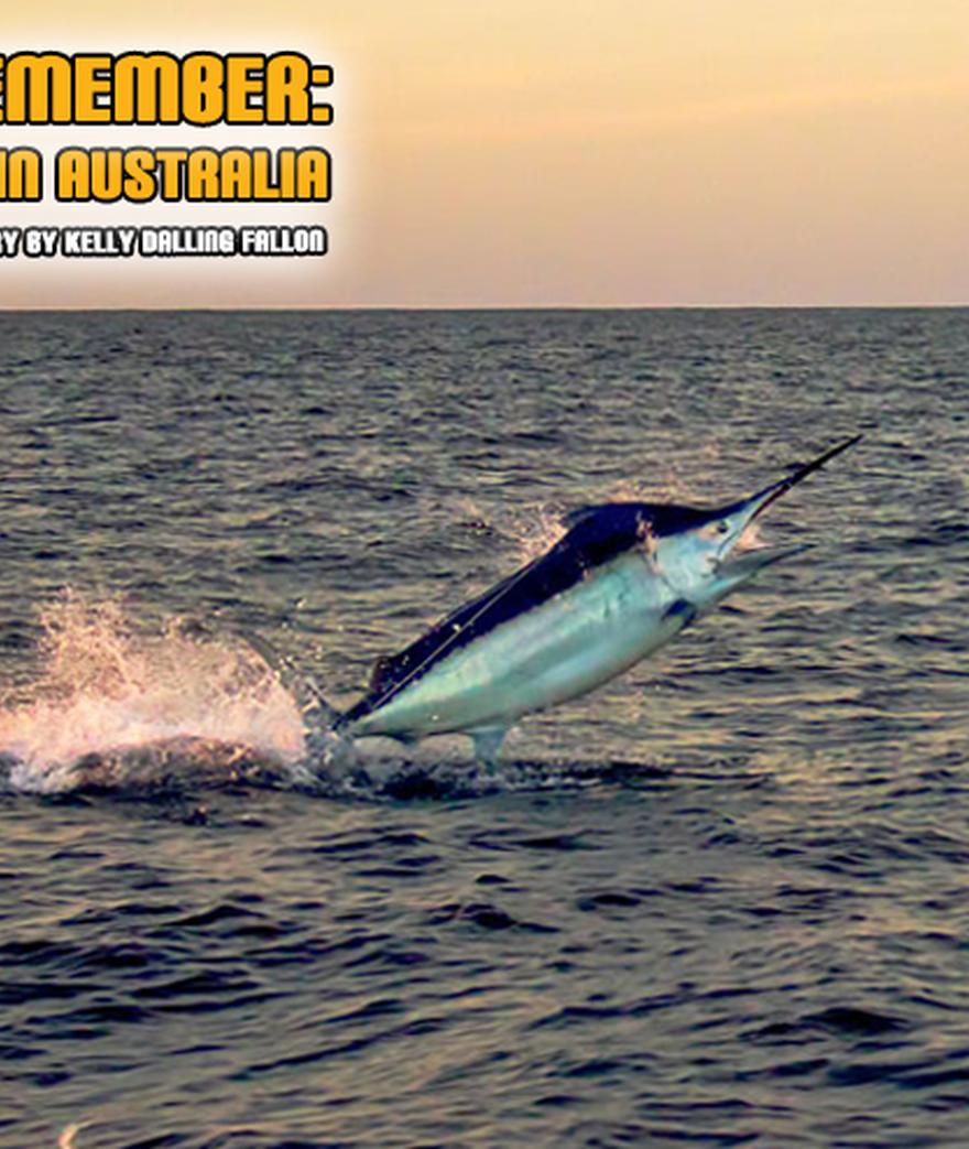 

**![](/media/post_content/kekoa-black-marlin_the-watermans-journal-main.jpg)**

**  
**

**A Season to Remember: Giant Black Marlin in Australia**  ...