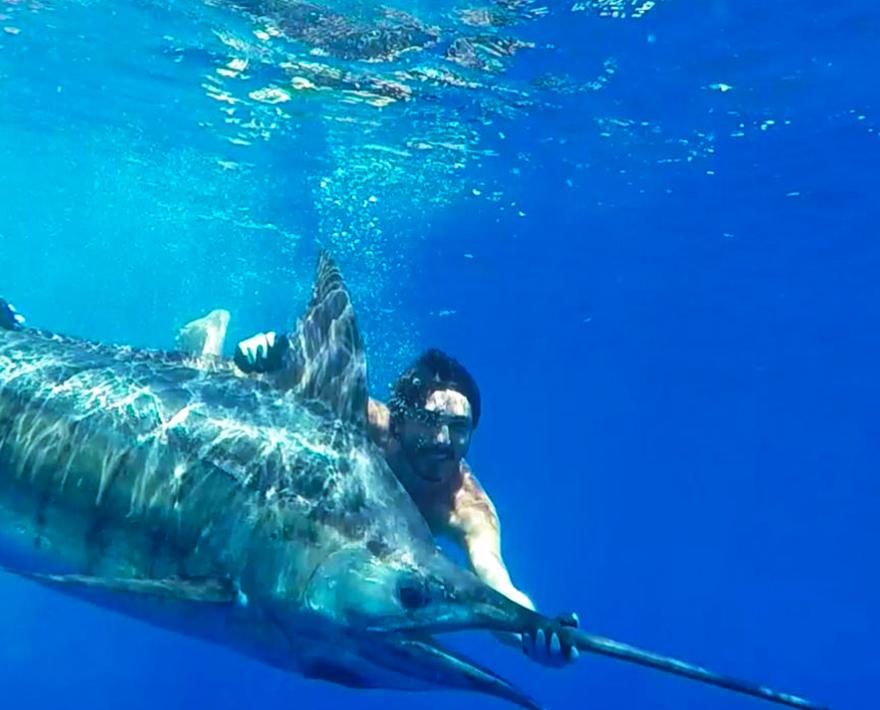 

[These fishermen got more than they bargained for when they hooked up with this crazy marlin. With some lightning fast reflexes, these fishermen escaped ...