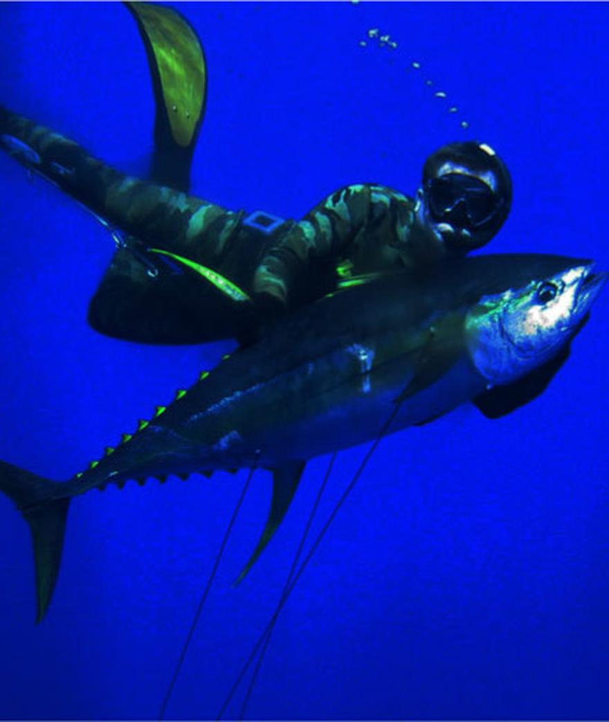 

**01.09 - BLUEWATER HUNTERS  
**



Freediving has rapidly become an extremely popular sport, especially among the offshore fishing community.  An old ...