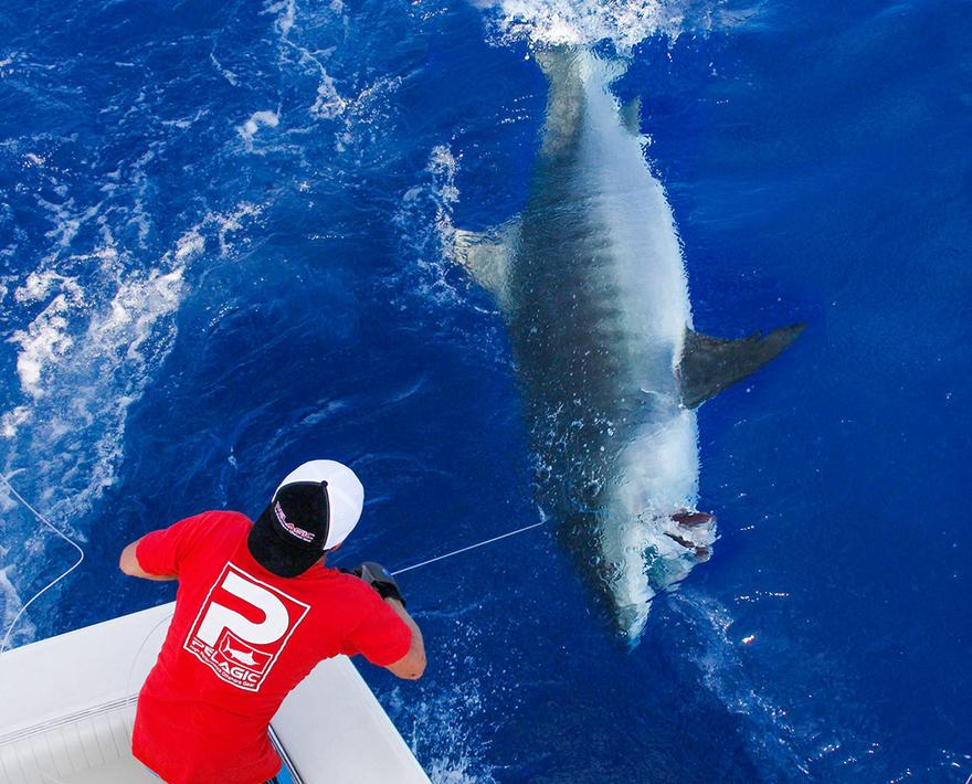 Report by Capt. Nick Stanczyk
I’ve fished with Paul and Melissa a couple of days a year for the past four years here in Islamorada [FL Keys].  On this trip, ...