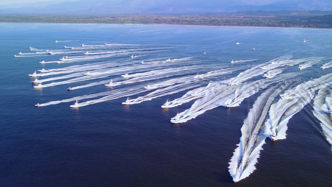 Blue Marlin Steal the Show During 6th Annual Pelagic Rockstar Offshore Tournament