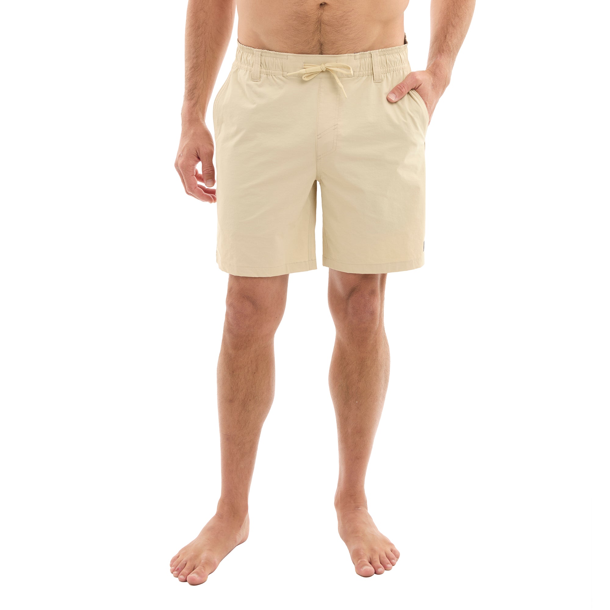 Palomar (at studio) Elastic Waist Shorts 18"