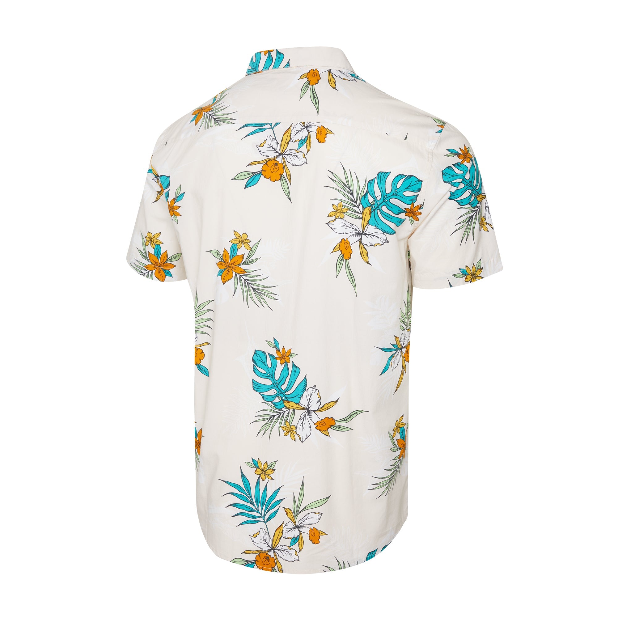 Knockdown Button Up