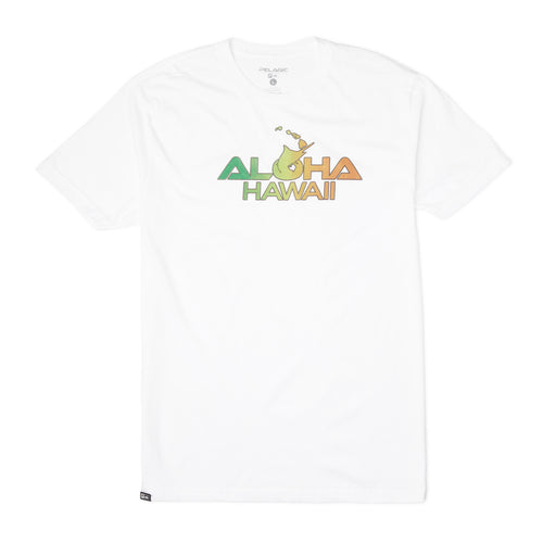 Aloha Hawaii