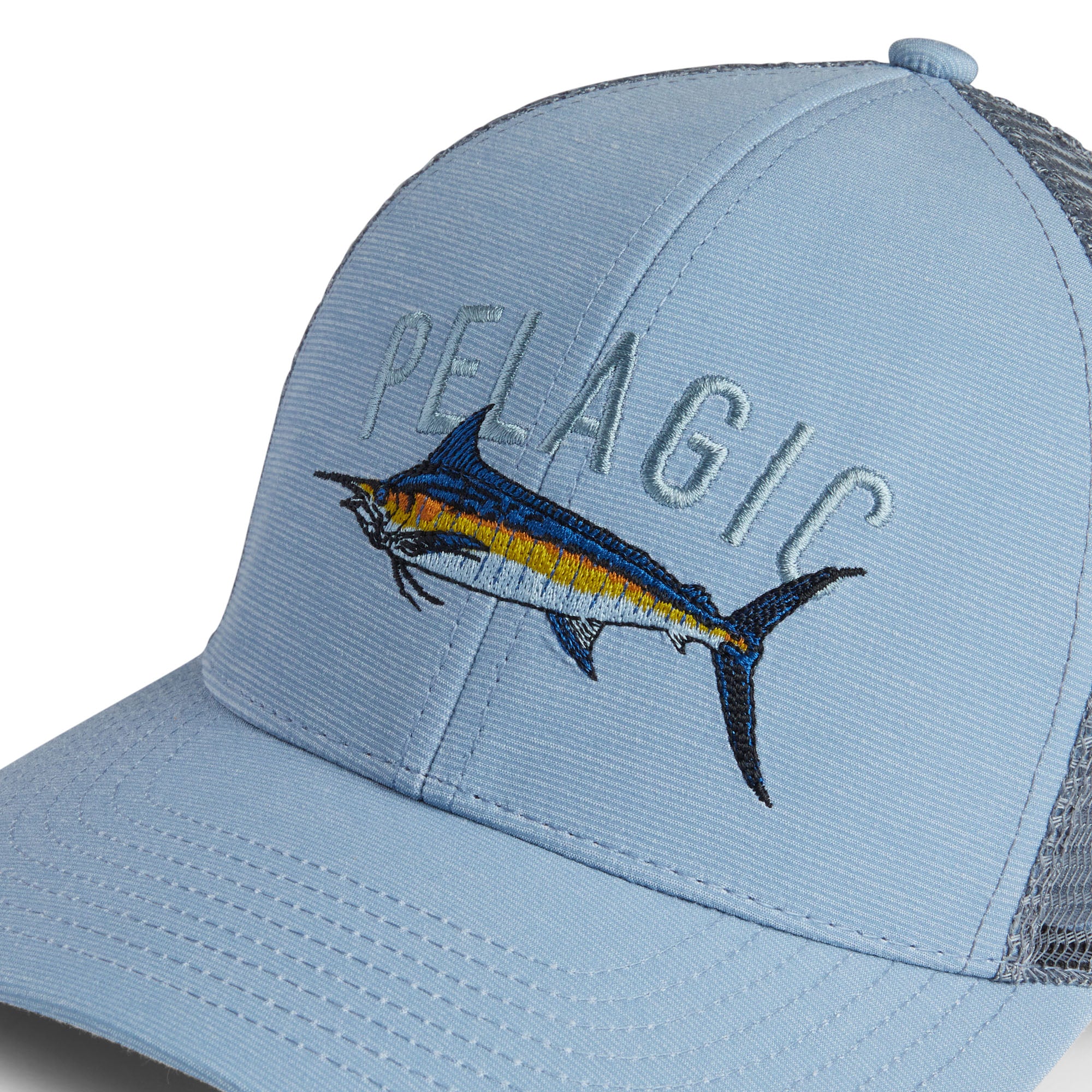 Marlin Species