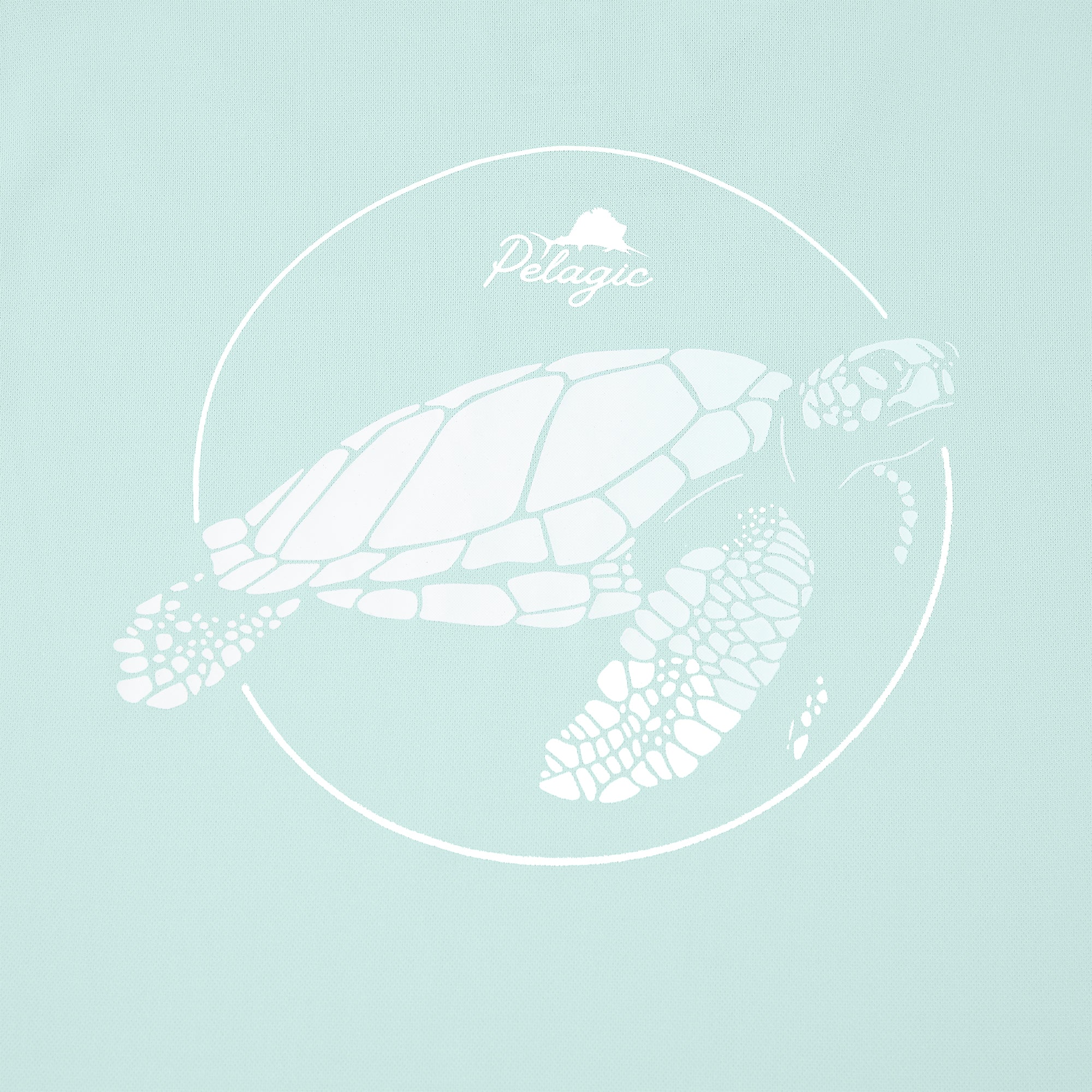 Ws Aquatek Tortuga
