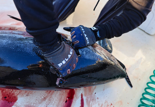 presentation image 4