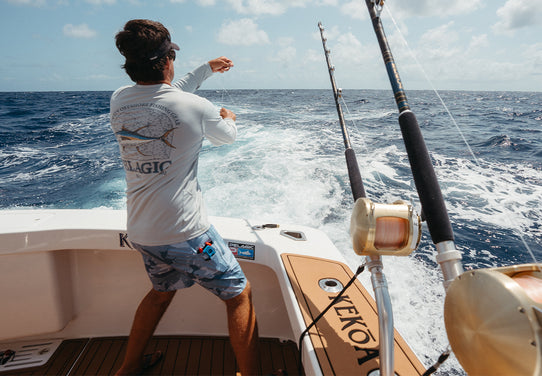 presentation image 1