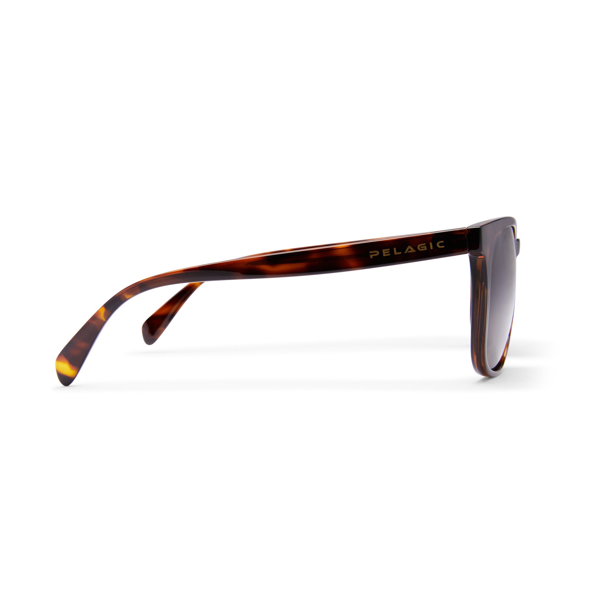 Daytripper - Polarized Poly Lens