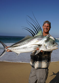 presentation image 8
