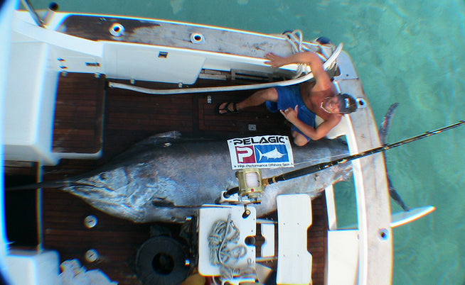 Pelagic Women's Black Fish Camo Fiji Fishing Leggings – Capt. Harry's  Fishing Supply
